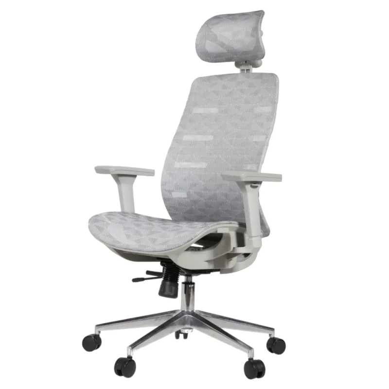 Royal Professional Chair