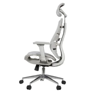 Royal Professional Chair
