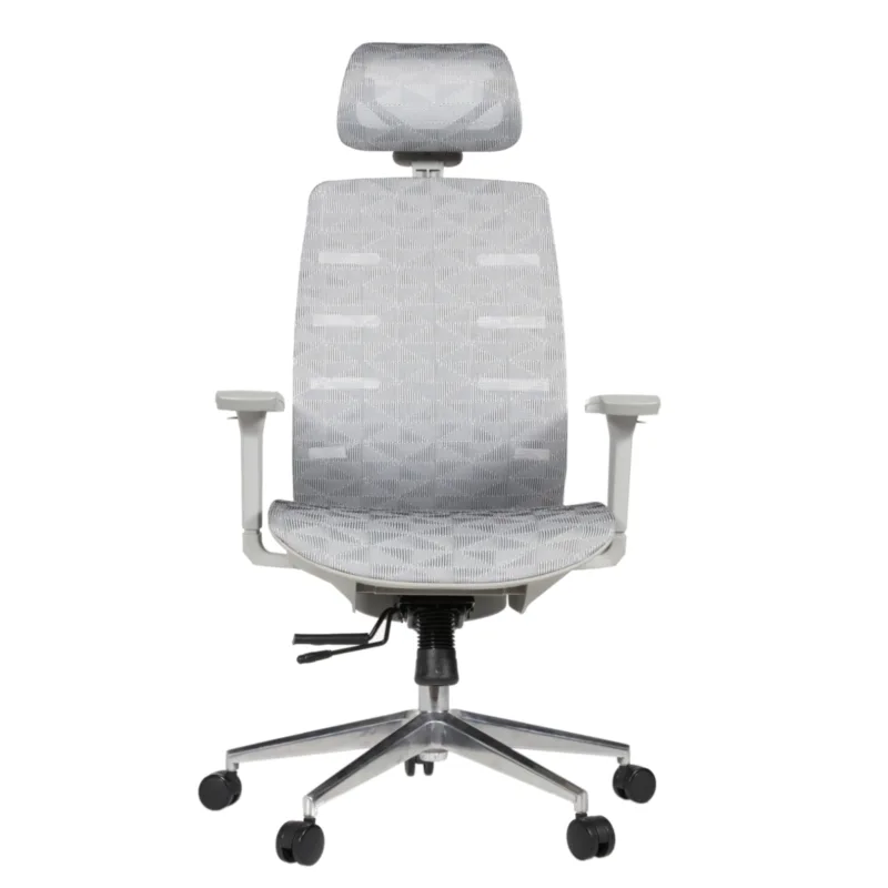 Royal Professional Chair