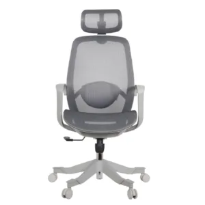 Alaska Professional Chair