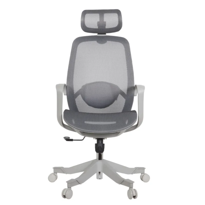 Alaska Professional Chair