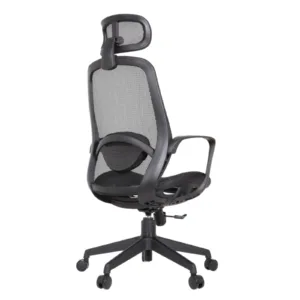 Alaska Professional Chair