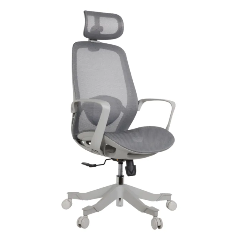 Alaska Professional Chair