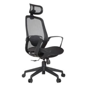 Alaska Professional Chair
