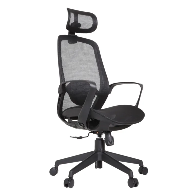 Alaska Professional Chair