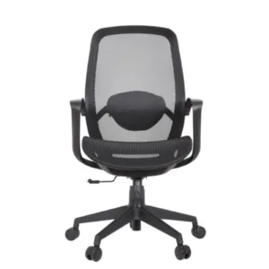 Alaska Secretary Chair