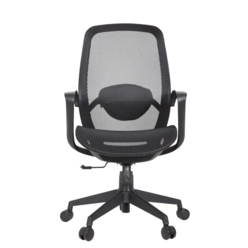 Alaska Secretary Chair
