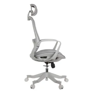 Alaska Professional Chair