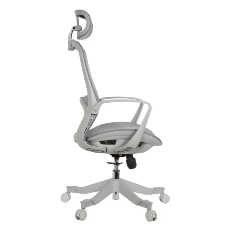 Alaska Professional Chair