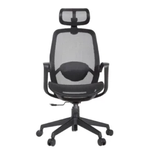 Alaska Professional Chair