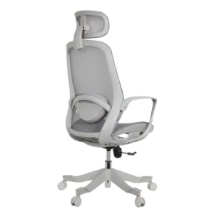 Alaska Professional Chair