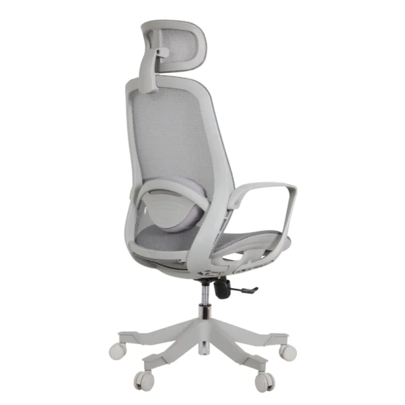 Alaska Professional Chair