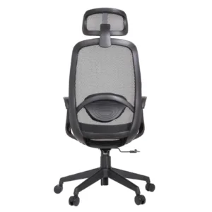 Alaska Professional Chair