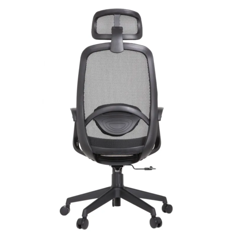 Alaska Professional Chair