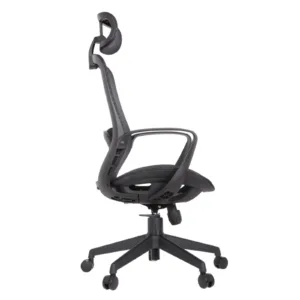 Alaska Professional Chair