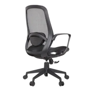 Alaska Secretary Chair