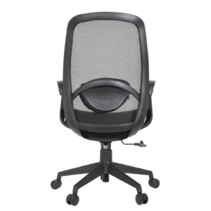 Alaska Secretary Chair