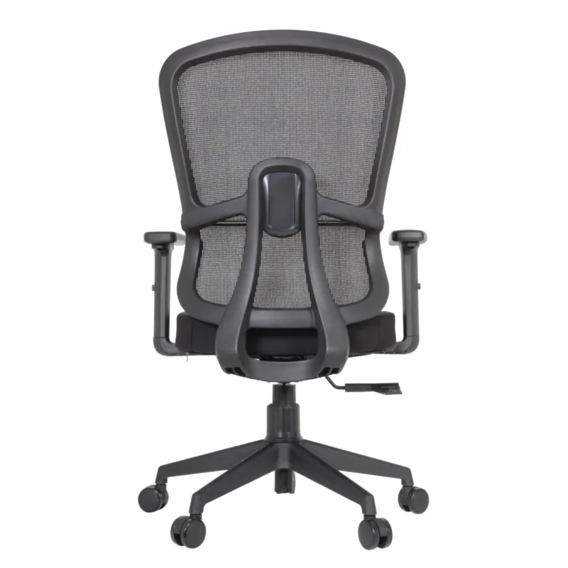 Sunway IMG_0018_1 Sunway Secretary Chair