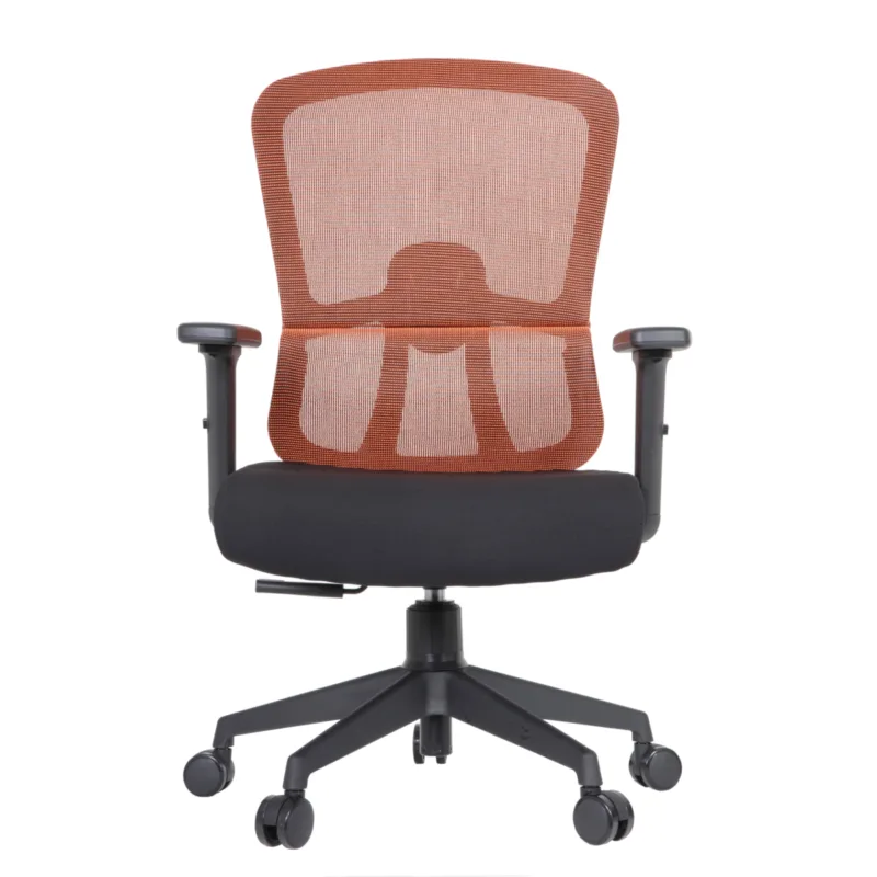 Sunway IMG_0026 Sunway Secretary Chair