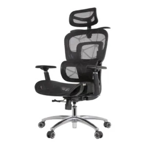 Zaki Professional Chair