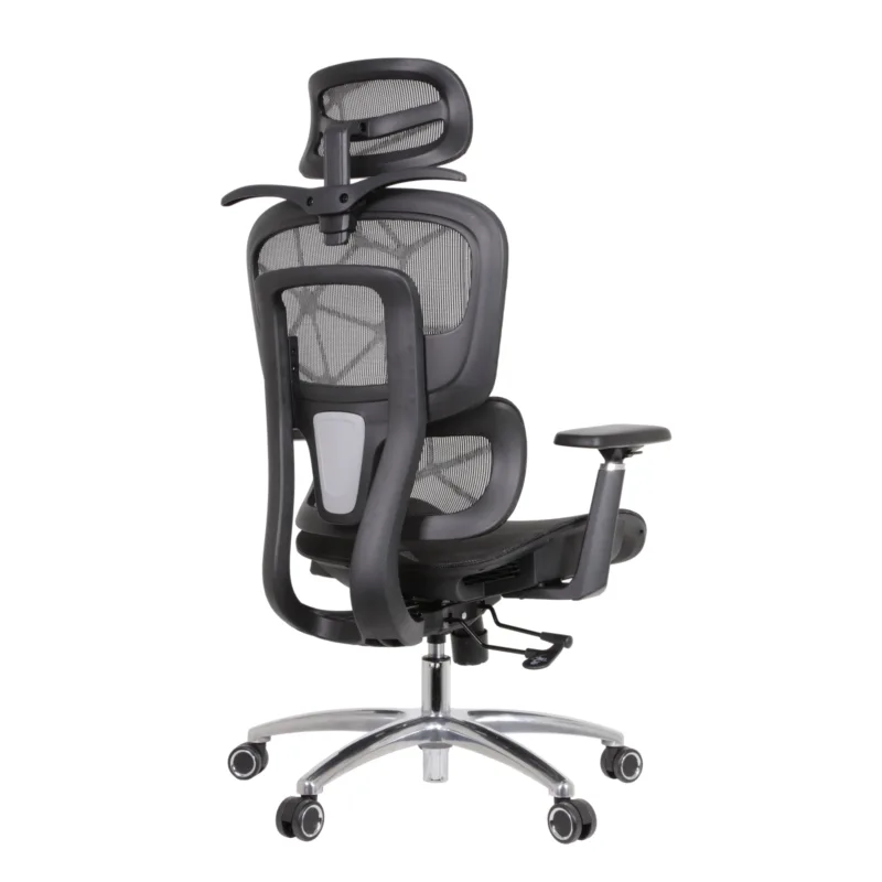 Zaki Professional Chair