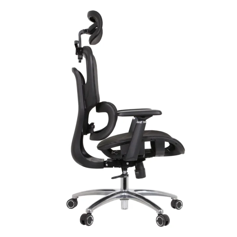 Zaki Professional Chair