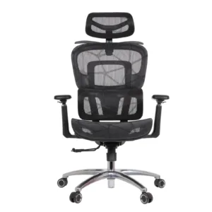 Zaki Professional Chair