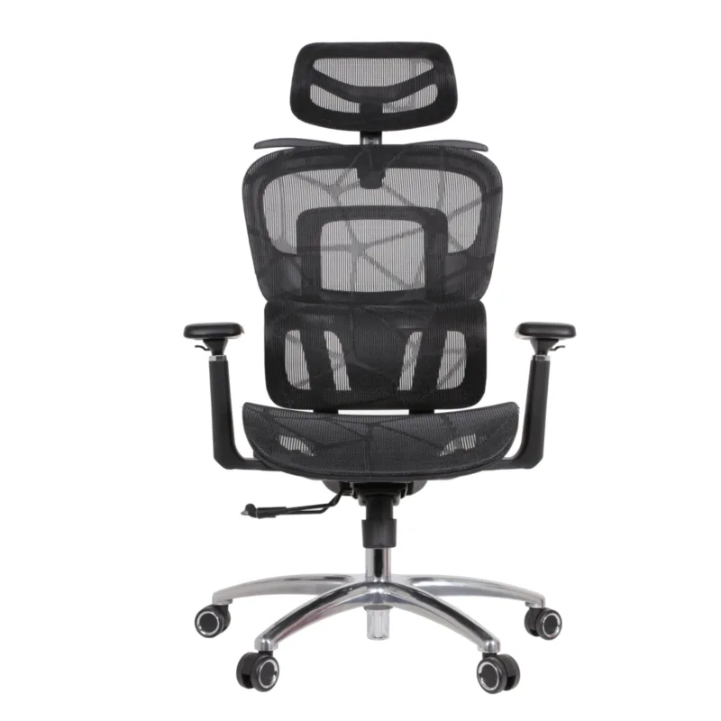 Zaki Professional Chair