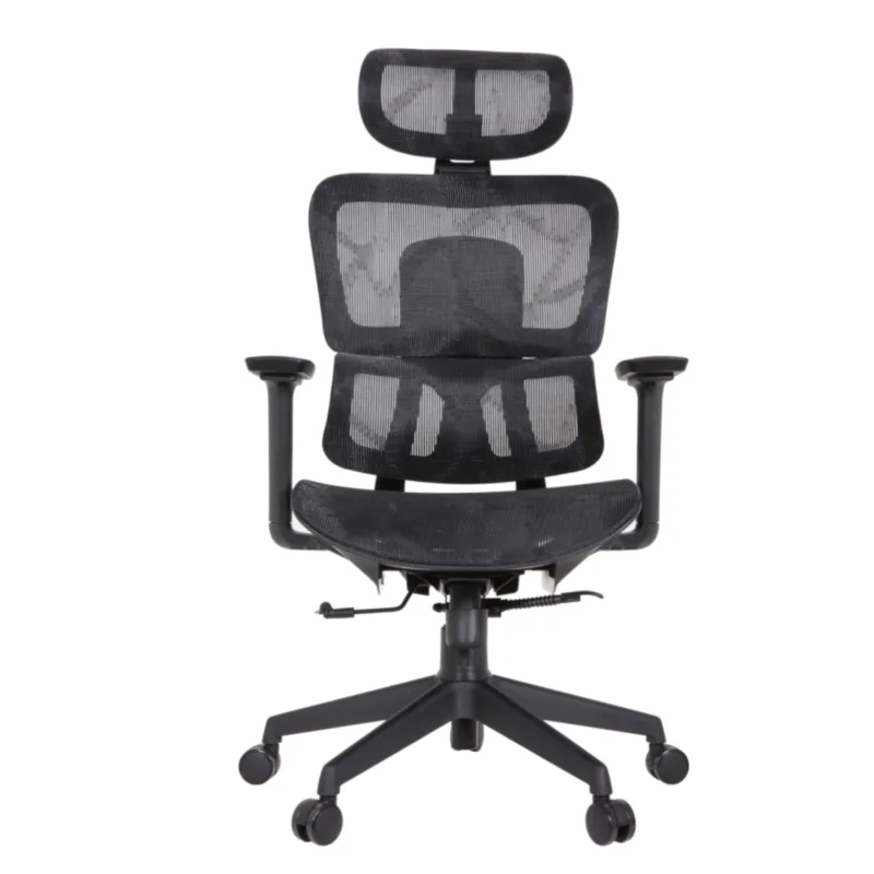 Zeneca Professional Chair