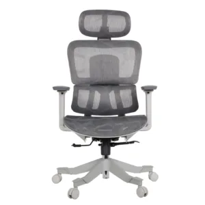 Zeneca Professional Chair