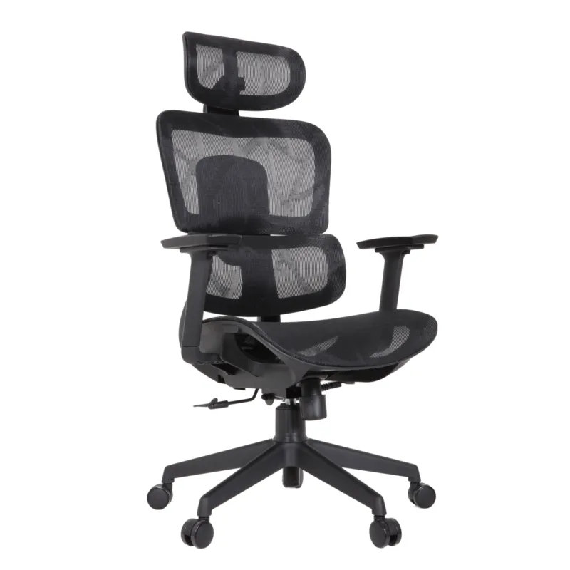 Zeneca Professional Chair