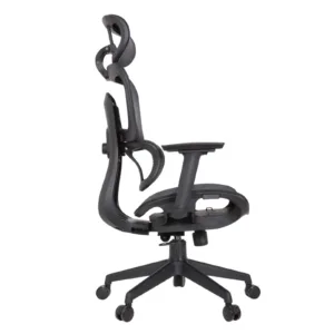 Zeneca Professional Chair