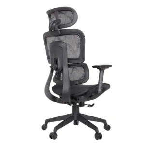 Zeneca Professional Chair