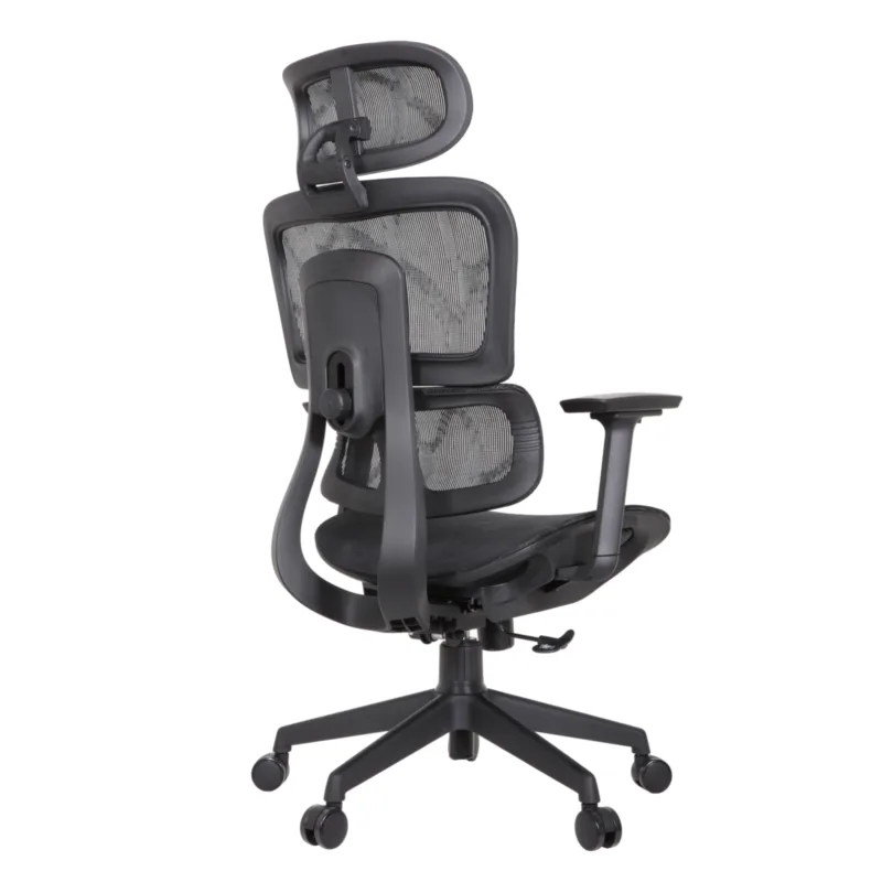 Zeneca Professional Chair