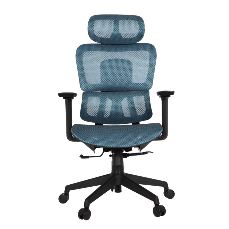 Zeneca Professional Chair
