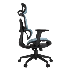 Zeneca Professional Chair