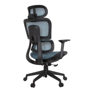 Zeneca Professional Chair