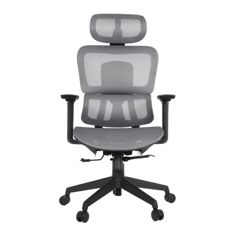 Zeneca Professional Chair
