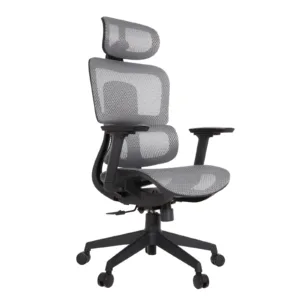 Zeneca Professional Chair