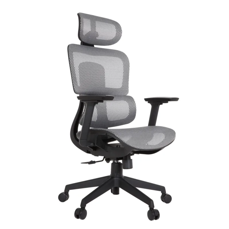 Zeneca Professional Chair