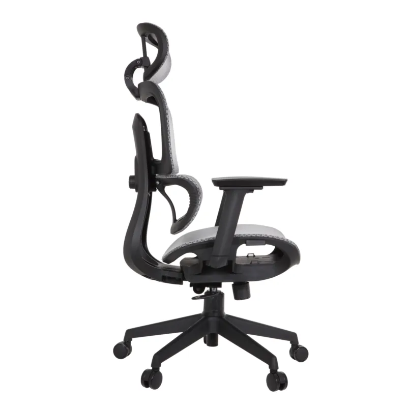 Zeneca Professional Chair