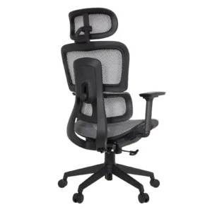 binary comment Zeneca Professional Chair