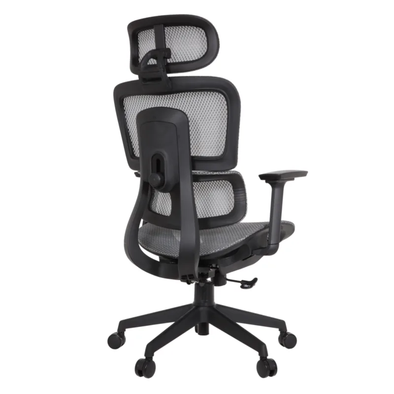 binary comment Zeneca Professional Chair