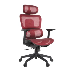 Zeneca Professional Chair