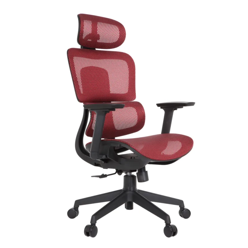 Zeneca Professional Chair