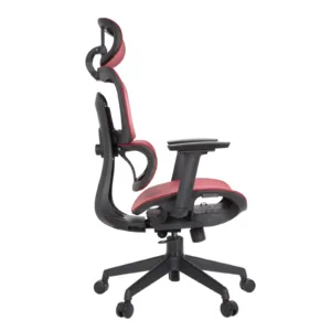 Zeneca Professional Chair