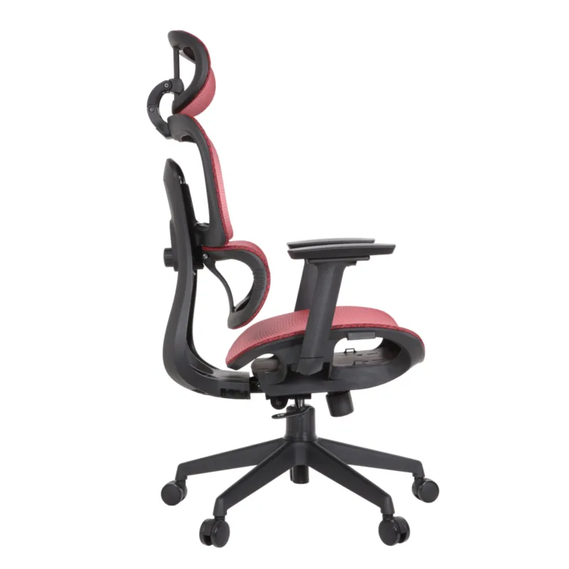 Zeneca Professional Chair