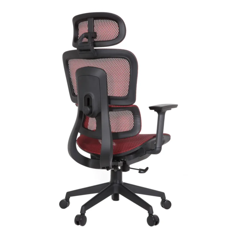 Zeneca Professional Chair