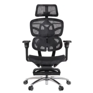 Louis Professional Chair