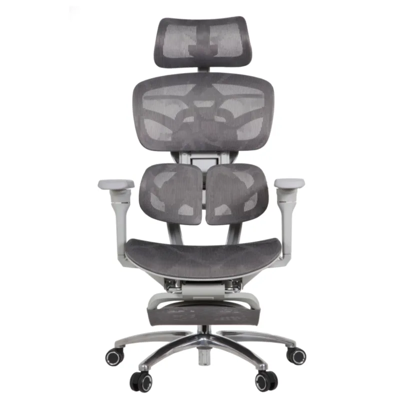 Louis Professional Chair